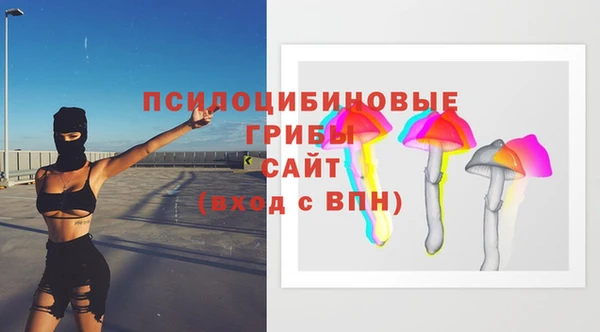 герыч Алексин