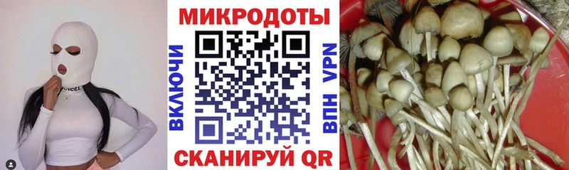 Галлюциногенные грибы Psilocybe Нолинск