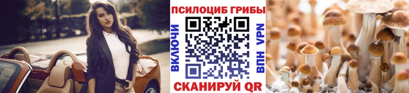 hydra как зайти  Нолинск  Галлюциногенные грибы GOLDEN TEACHER 